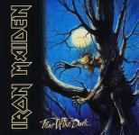 dy_ironmaiden_fear_of_the_dark.jpeg dy_ironmaiden_fear_of_the_dark.jpeg